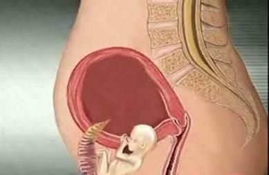 ԹӤ⹬